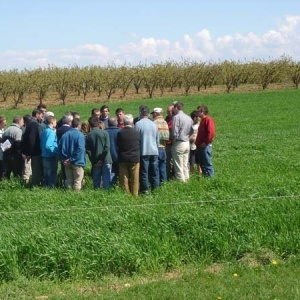 le groupe sol en pleine observation sur le terrain - Observation de différence d'enracinement entre une avoine et un triticale